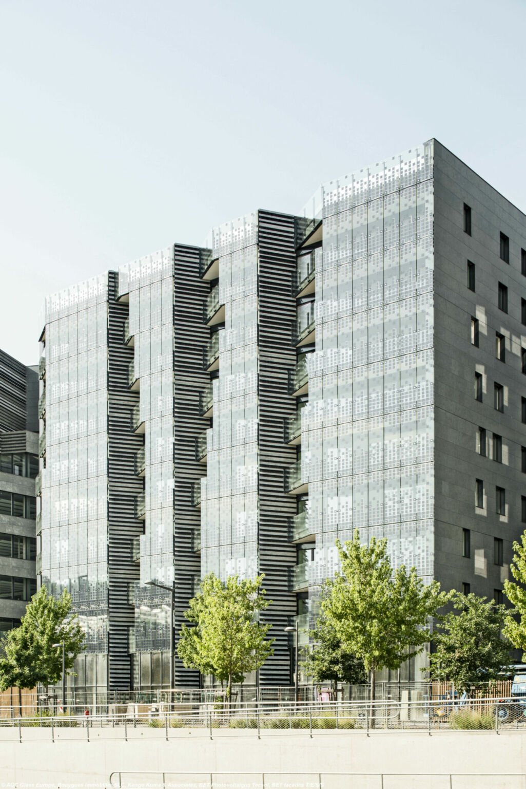 Square (5)